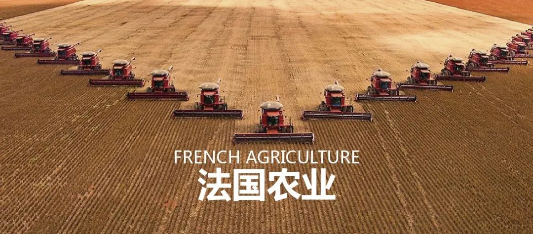 法国农业：欧盟农业大国，靠这6大战略制胜市场